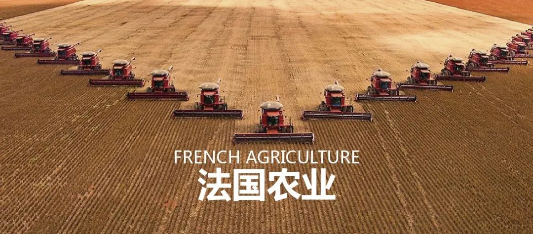 法国农业：欧盟农业大国，靠这6大战略制胜市场